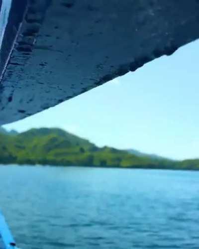 Helga : Goddess On Earth