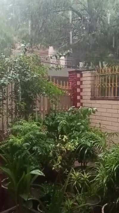 I danced in the rain today! New Delhi, India