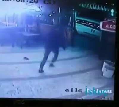 Cat goes full apesh*t