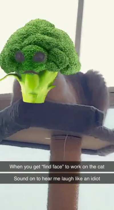 r/ContagiousLaughter pointed me this way. I turned Sashi into broccoli and couldn’t control myself.