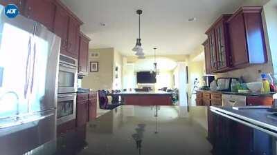 Our house alarm went off and we saw this on our camera. Watch left side fridge. We have an alarm/camera on our back deck also so this is not a reflection from backyard activity. Any feedback appreciated.