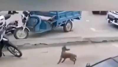 Pissed off (on?) the wrong tire today.