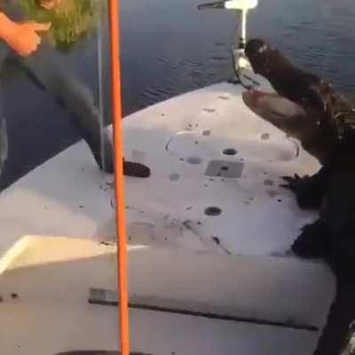 An unannounced guest on the boat..