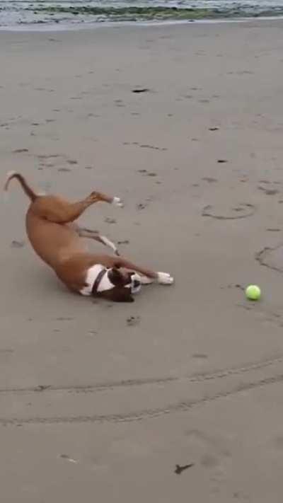 To catch the ball