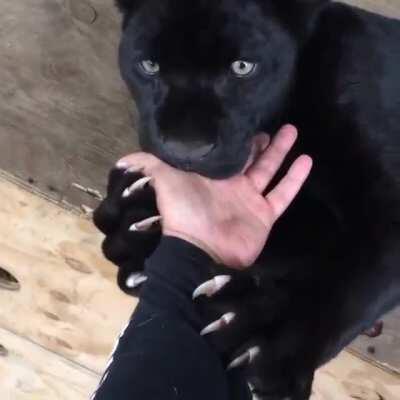 I guess I don't need ten fingers.