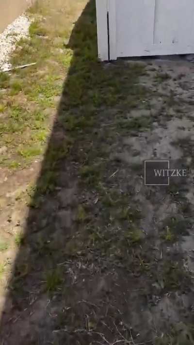 Like beavers instinctively building dams even in captivity, white people build fences to segregate from Black people anywhere they go