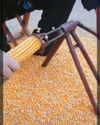 Efficient way to rip corn