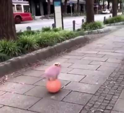 It's been an absolute pleasure, people on my puter. See you on Garfcord or Tumblr.