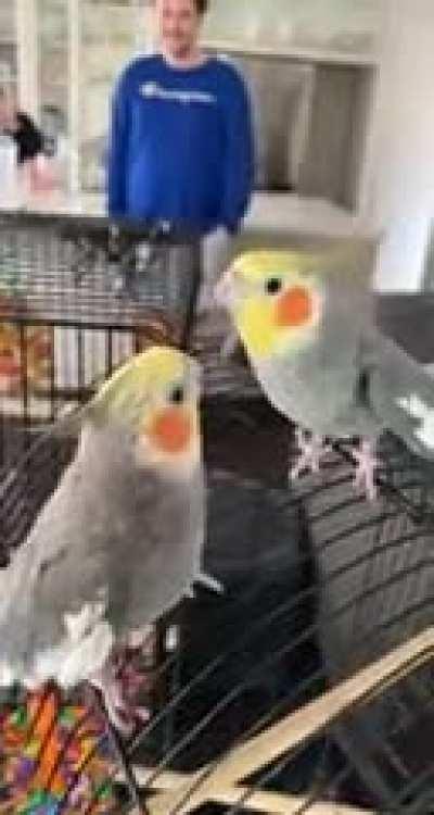 Brothers reuniting after a year. Turns out they have a lot to catch up on