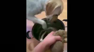 Одумайся, хозяин.