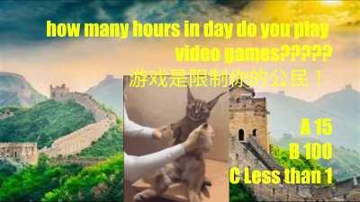 Floppa social credit