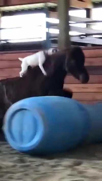 Time for a new adventure.