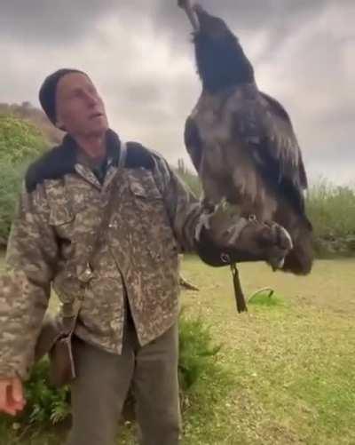 The bearded eagle is the only known animal whose diet is almost exclusively bone. In fact, it usually despises actual meat and lives on a diet that is usually 80-90% bone marrow.