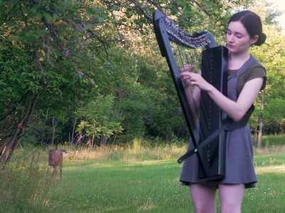 Harp session attracts the local wildlife