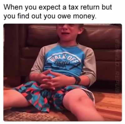 Taxes 😭😂