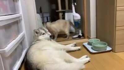 All he was doing was sleeping... Why.