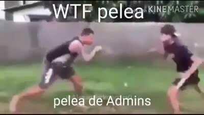 WTF pelea de admins