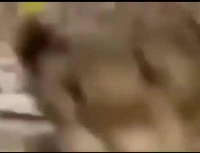 HUEstation - Video #0791