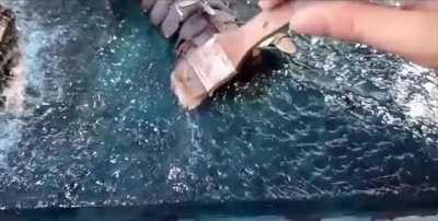 Макет боевого корабля из... лобстера. Вопросов, конечно, много, но это работа истинного мастера