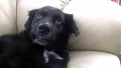 Waking up from a nightmare