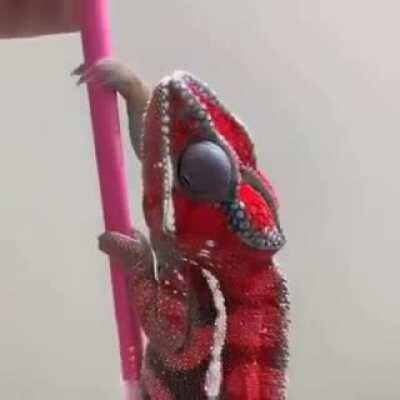 🔥 Colours of the rainbow