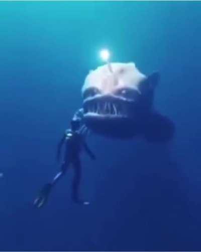 There's always a bigger fish