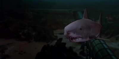 This scene in Jaws 3-D was so terrifying to theatergoers that it was not uncommon for many an audience member to lose control of their bowels and defecate aggressively into their undertrousers.