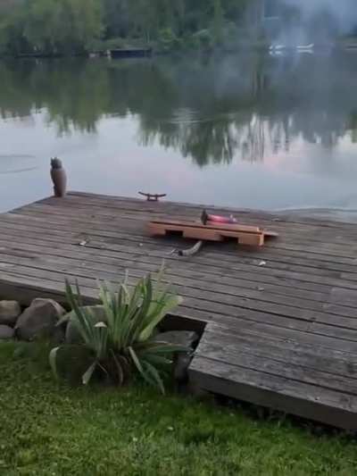 Playing with fireworks