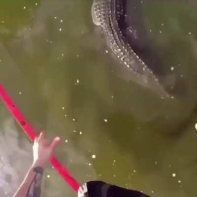 I don't know how it all ended