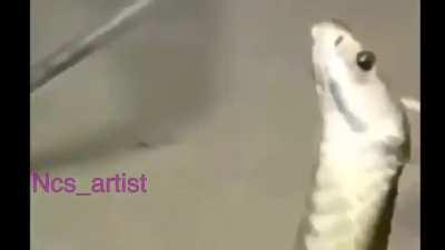 You already know what time it is!