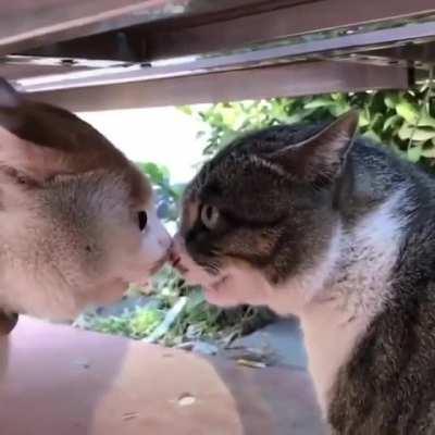 Both keep screaming!