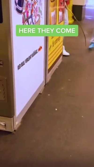 I hope you like spiders :)