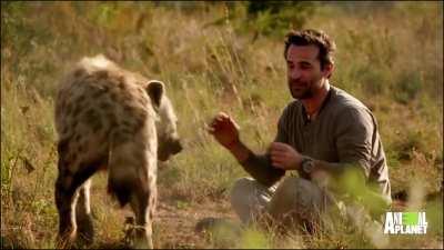 Sigma Rule #7322: Get mauled by a wild predator for the grind