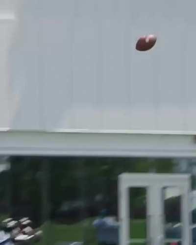 Cheetah did Tua a solid and tweeted this video. lol