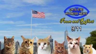 remmeber what was lost