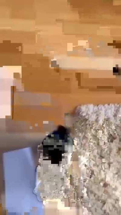 Dogs actually can eat homework 😂