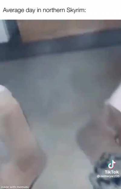 Just look at those dogs