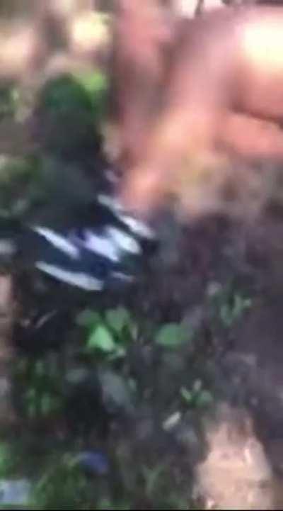 “Nicole, Make Them Titties Come Out!🗣🗣”