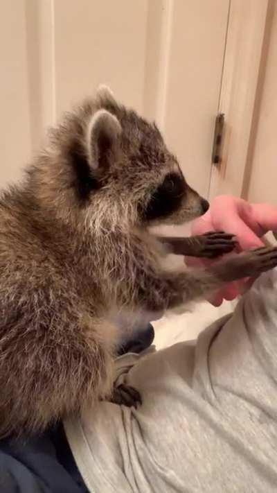 Bringing this gem to its rightful home.