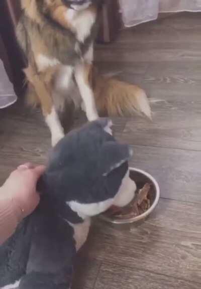 What’s in this food?