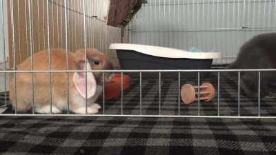 Wait for the stretch!