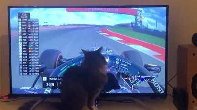 Cat Verstappen doing her fast lap at COTA