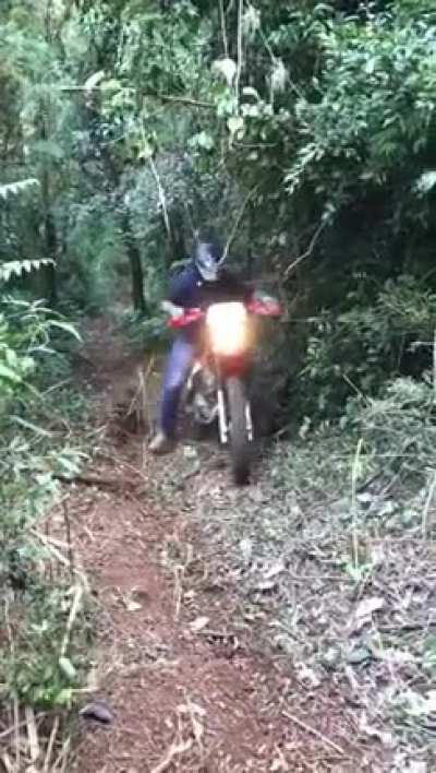 Physics is inevitable