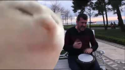 ymmm who like this shit :::ojas bhai ko ek baar ye gaana parega