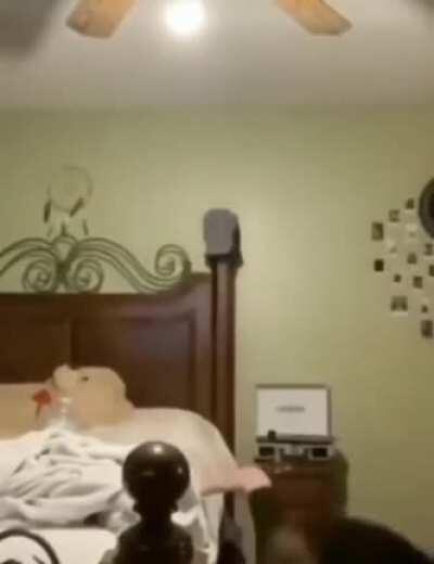 HMB while I kick the toilet paper