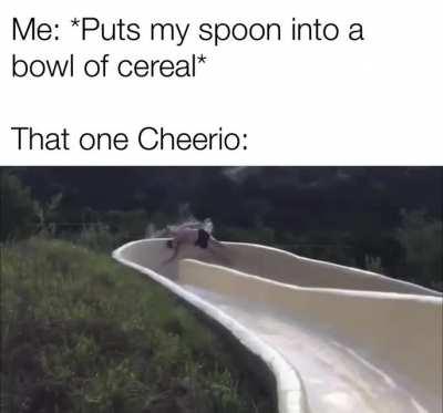 Where does it think it’s going