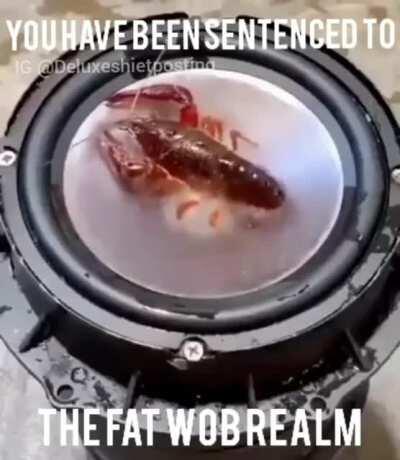 THE COUNCIL HAS DECIDED YOUR FATE