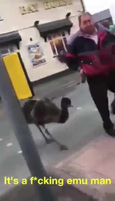 Best conversation ever.