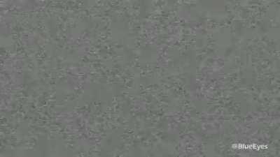 You Thought It Was Senko But It Was I Giorno Giovanna