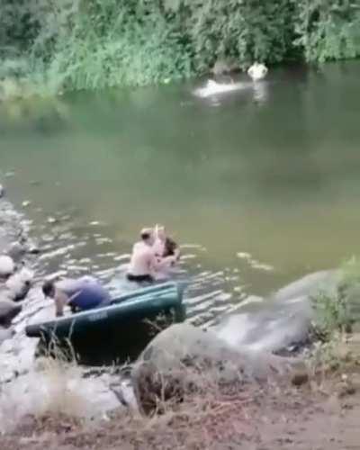 Dolphinatly belongs here.